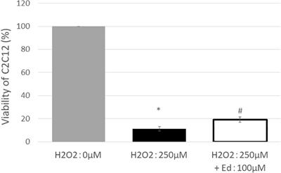 Protective Effect of Edaravone Against Oxidative Stress in C2C12 Myoblast and Impairment of Skeletal Muscle Regeneration Exposed to Ischemic Injury in Ob/ob Mice